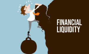Entire_Loan_Understanding_financial_liquidity